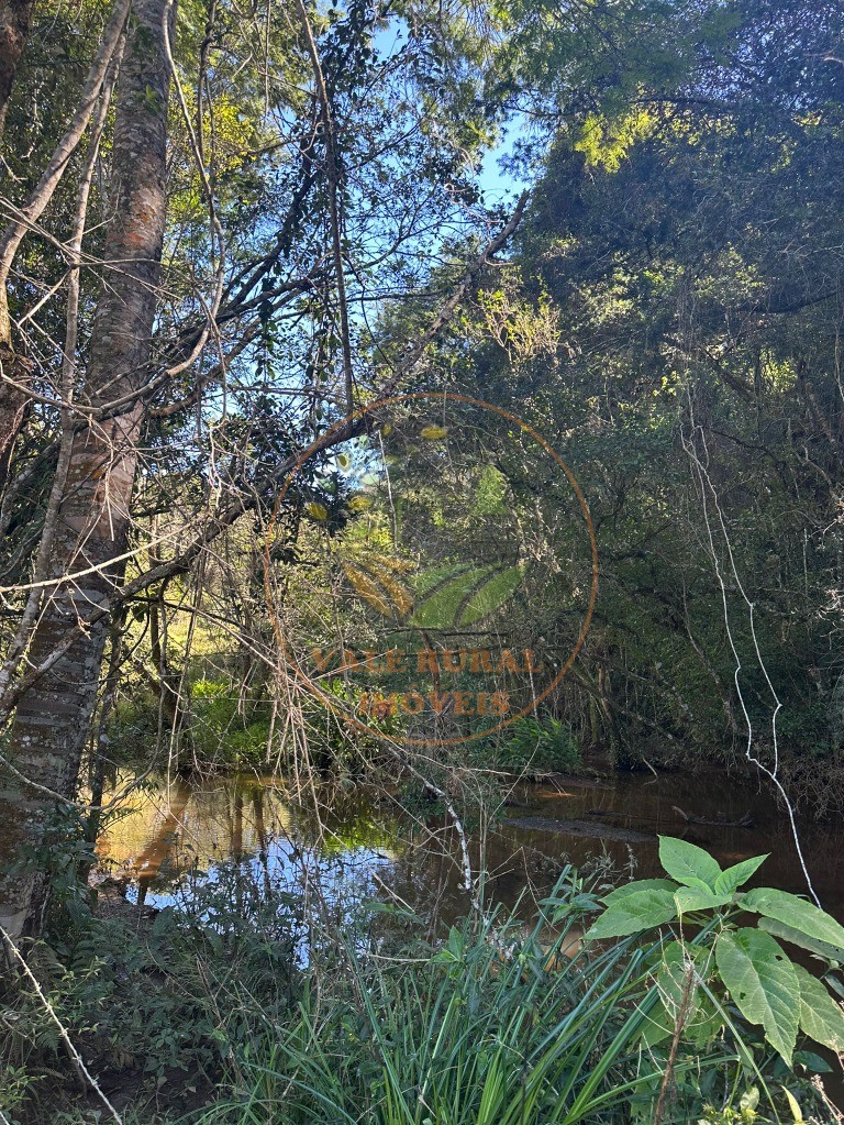 Chácara à venda com 2 quartos, 30000m² - Foto 8