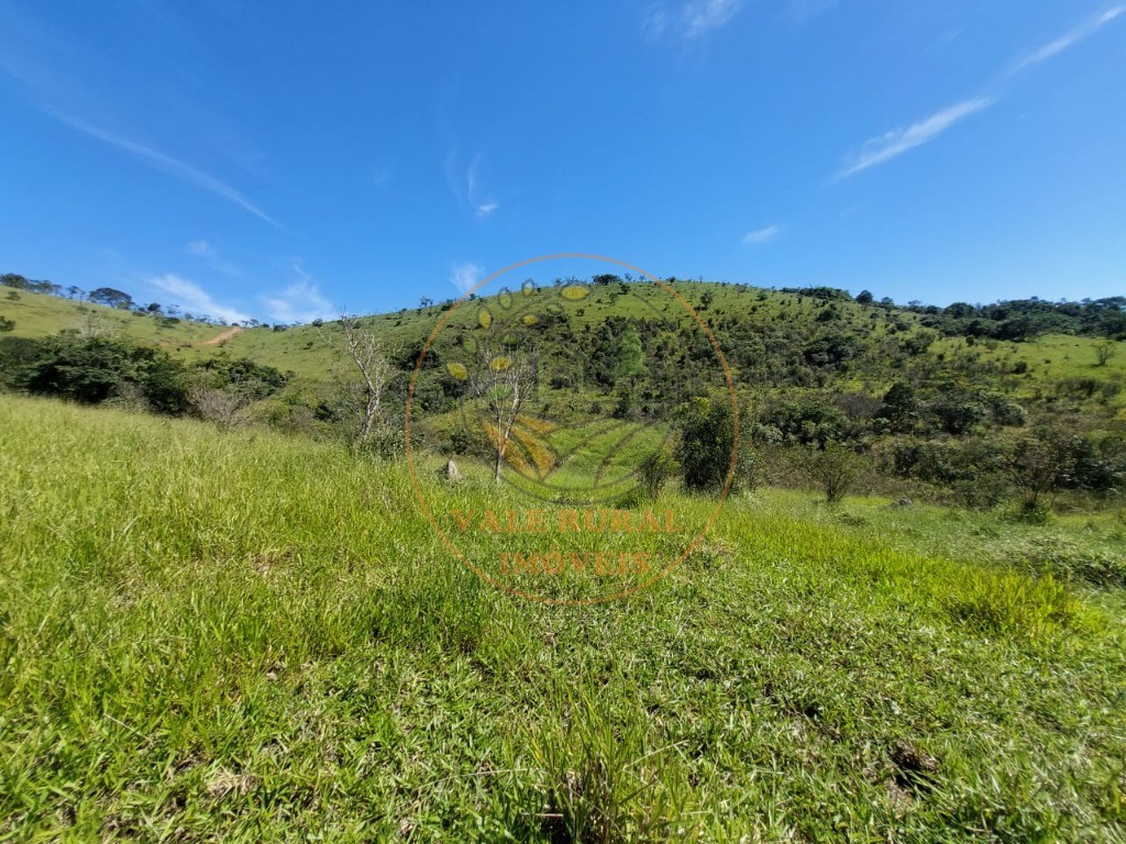 Haras e Área Rural Padrão à venda, 20000m² - Foto 7