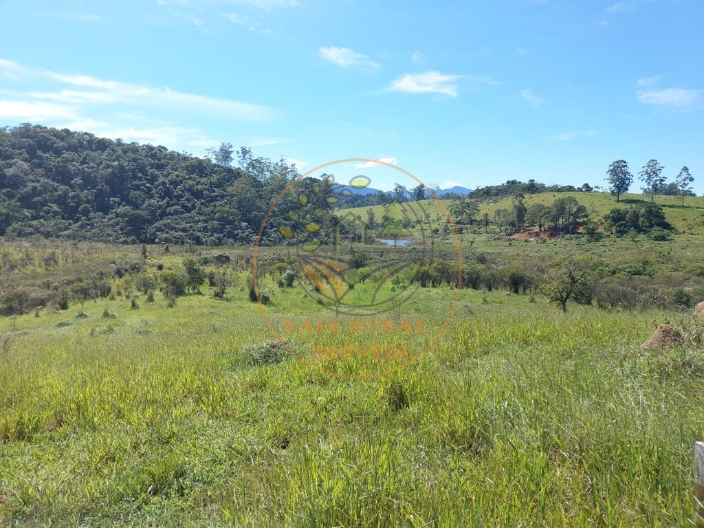 Haras e Área Rural Padrão à venda, 20000m² - Foto 4