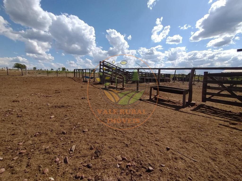 Fazenda à venda com 5 quartos, 800m² - Foto 1