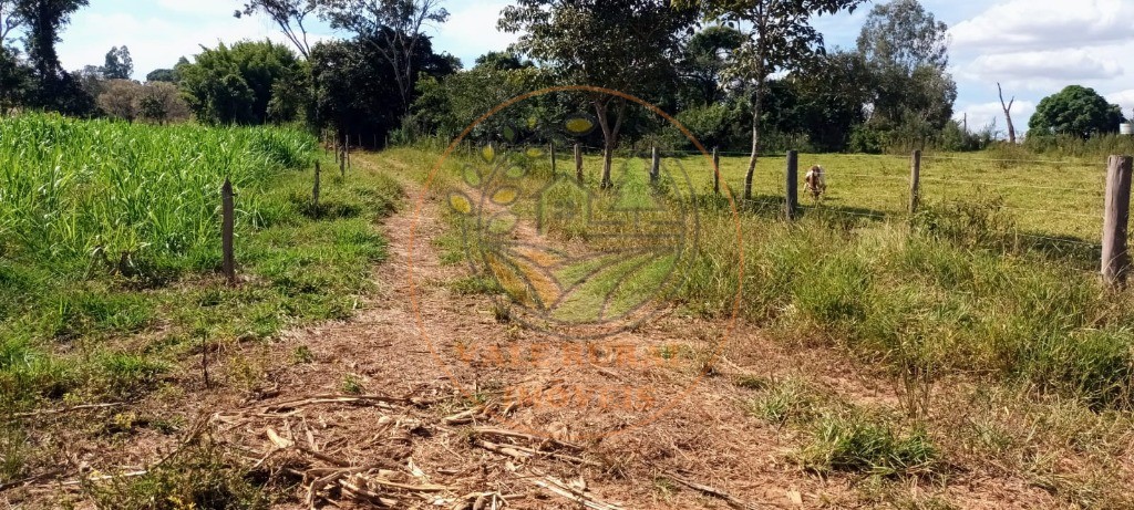 Fazenda à venda com 5 quartos, 800m² - Foto 24