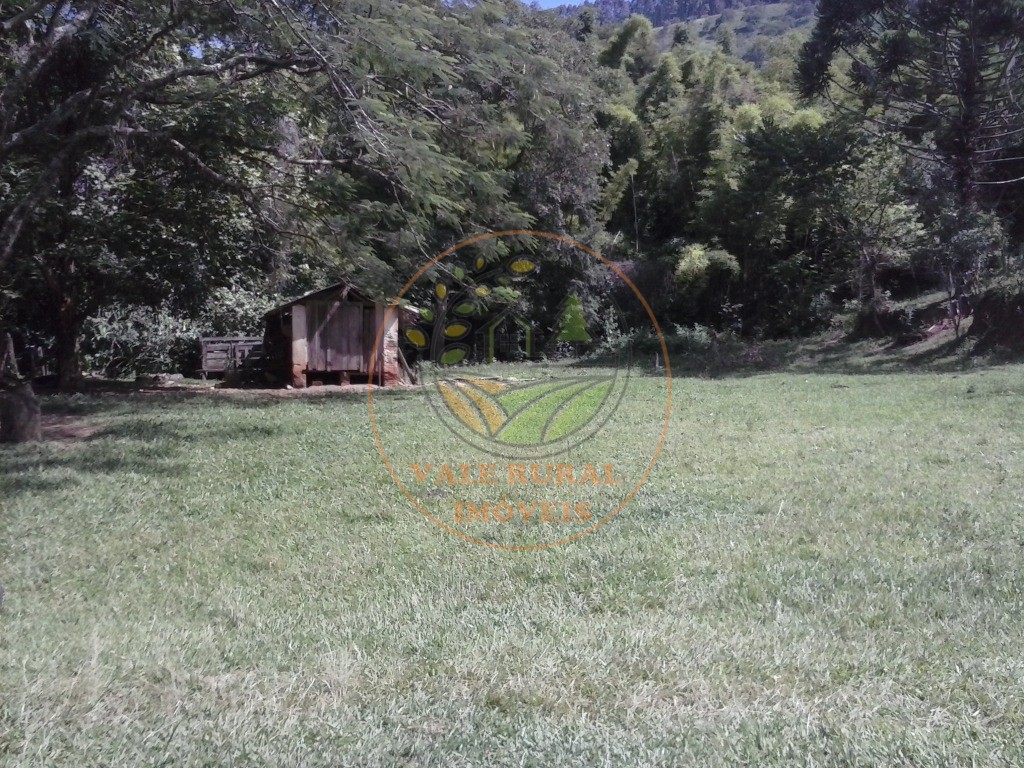 Fazenda à venda com 2 quartos, 40m² - Foto 4