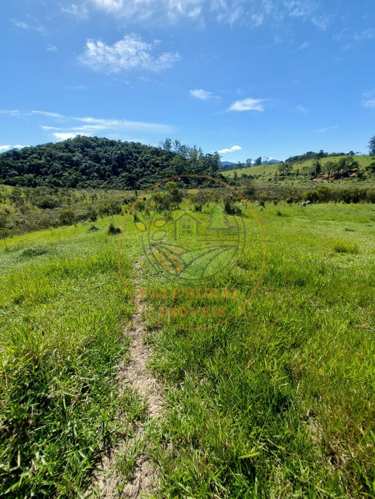 Haras e Área Rural Padrão à venda, 20000m² - Foto 8