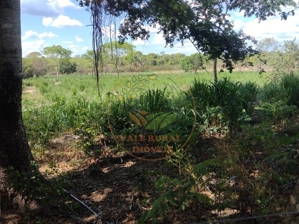 Fazenda à venda com 5 quartos, 800m² - Foto 6