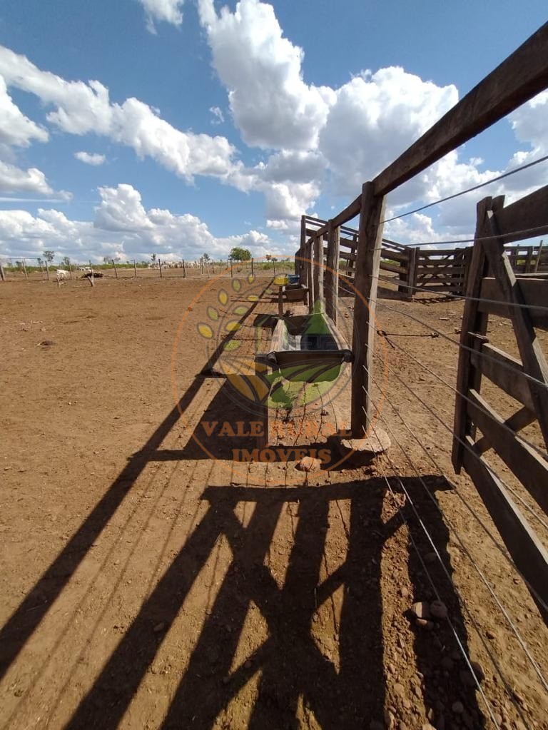 Fazenda à venda com 5 quartos, 800m² - Foto 11