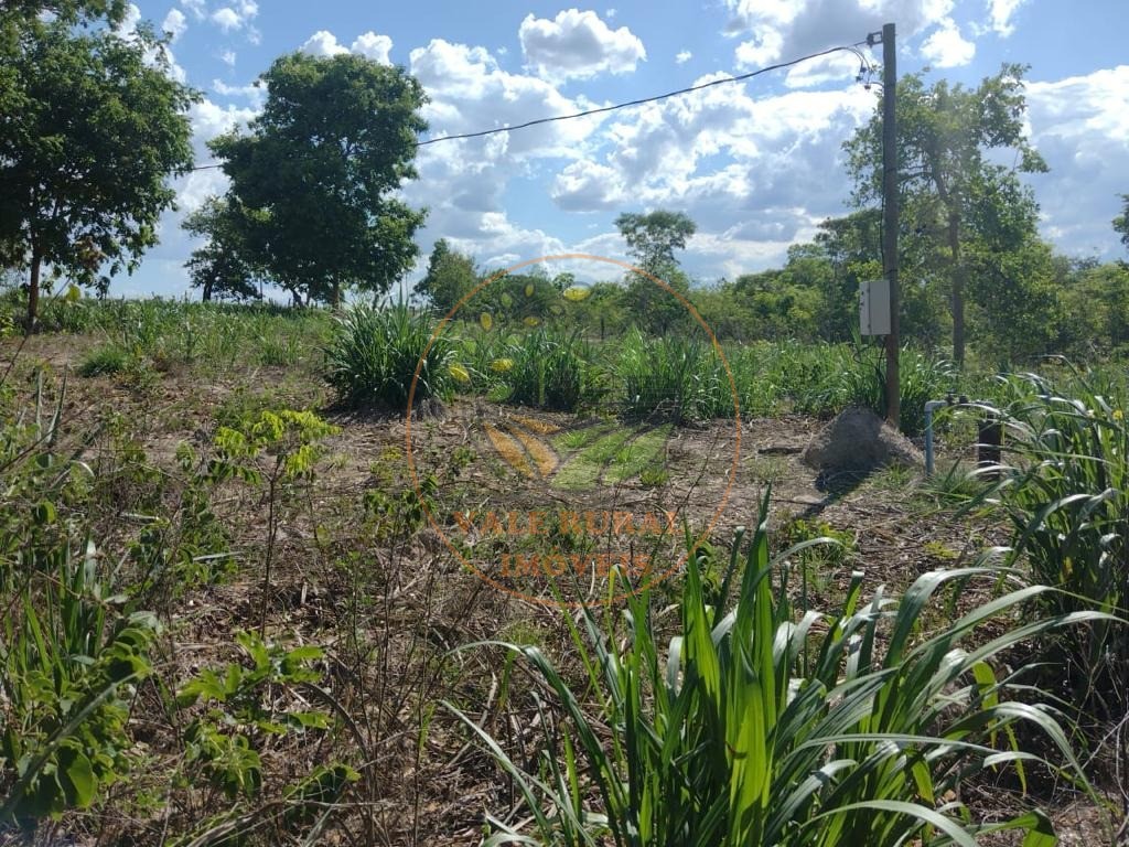 Fazenda à venda com 5 quartos, 800m² - Foto 9