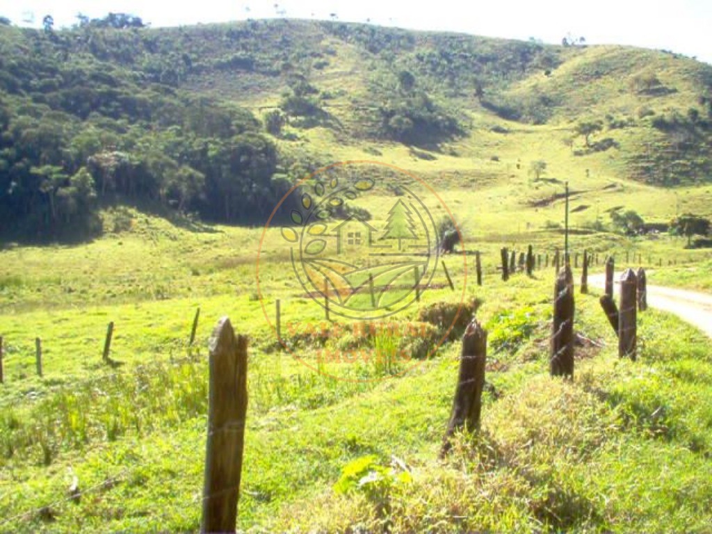 Fazenda à venda com 5 quartos, 47m² - Foto 16