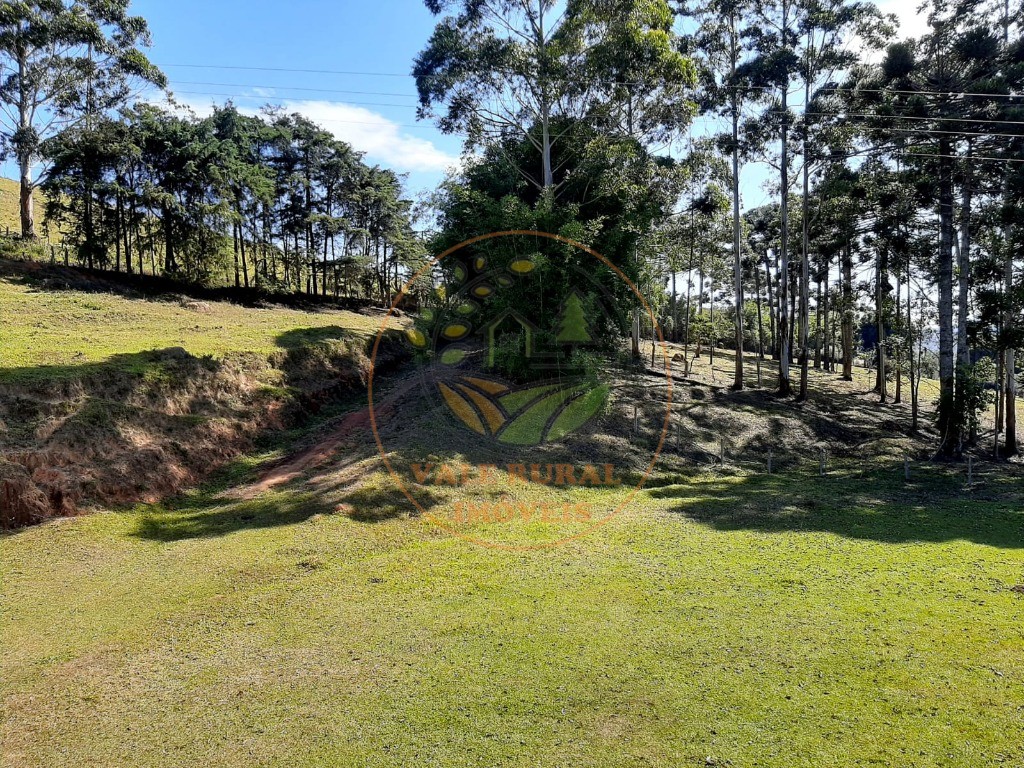 Fazenda à venda com 3 quartos, 80m² - Foto 2