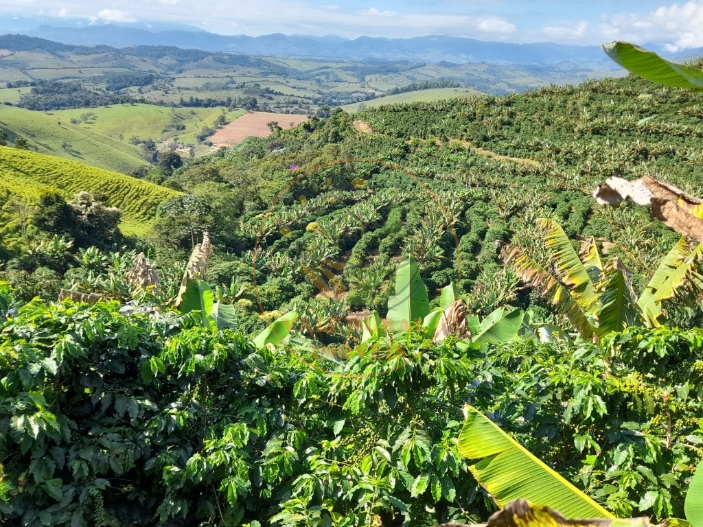 Fazenda à venda com 3 quartos, 20m² - Foto 2