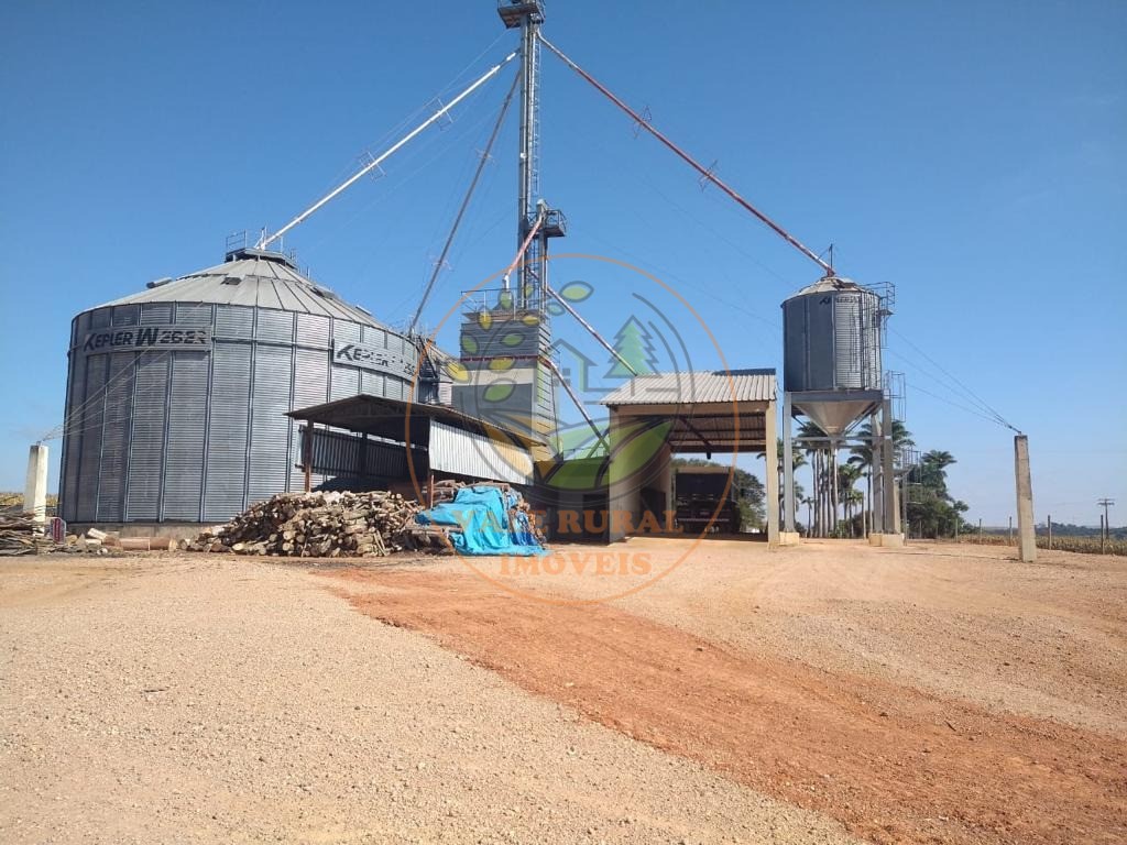 Fazenda à venda com 5 quartos, 5050m² - Foto 13