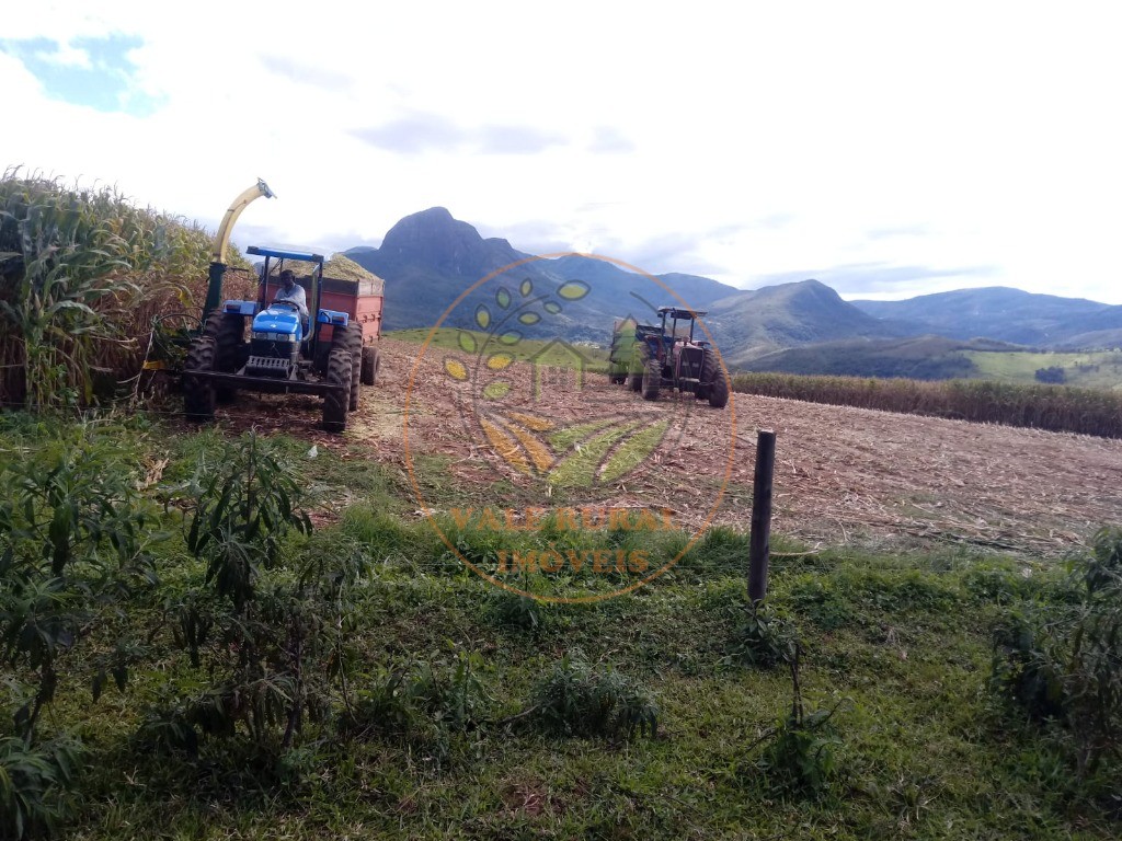 Fazenda à venda com 3 quartos, 360m² - Foto 8