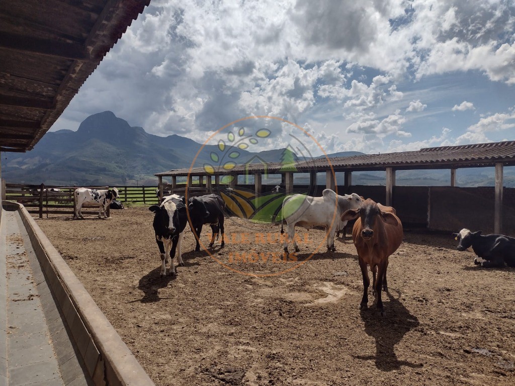 Fazenda à venda com 3 quartos, 360m² - Foto 13