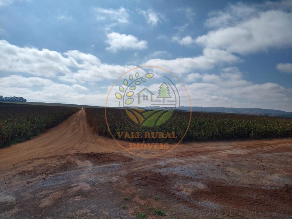 Fazenda à venda com 5 quartos, 5050m² - Foto 15