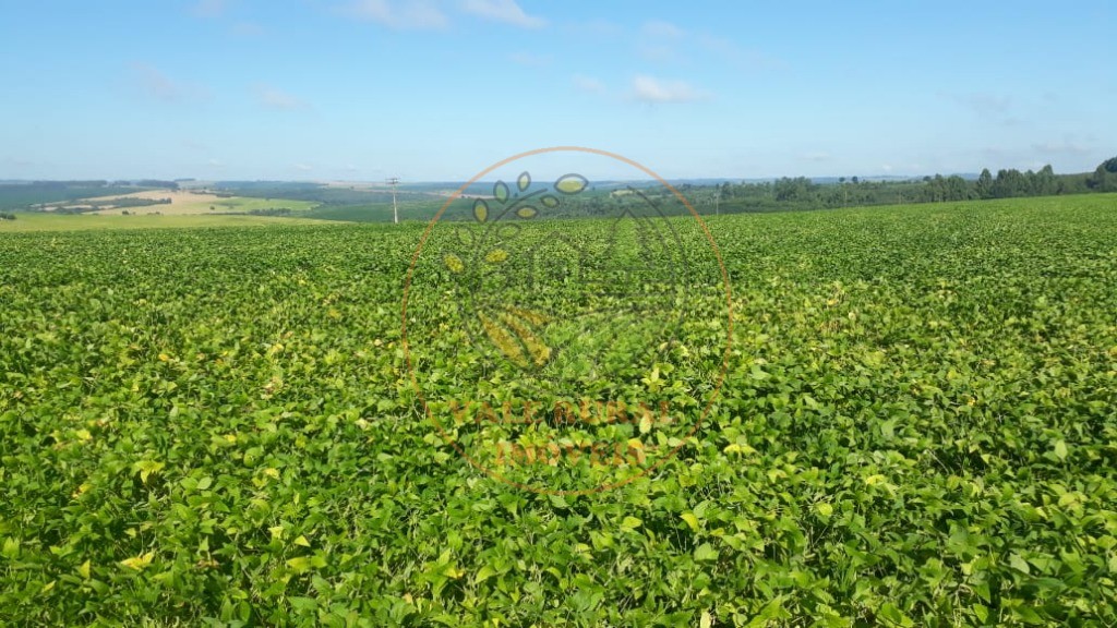 Fazenda à venda com 5 quartos, 5050m² - Foto 8