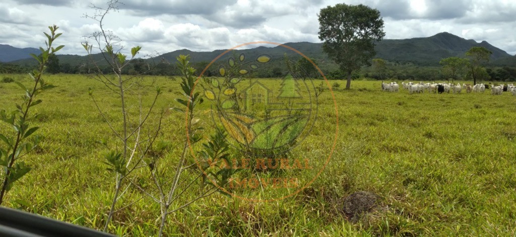 Fazenda à venda com 9 quartos, 2139m² - Foto 11