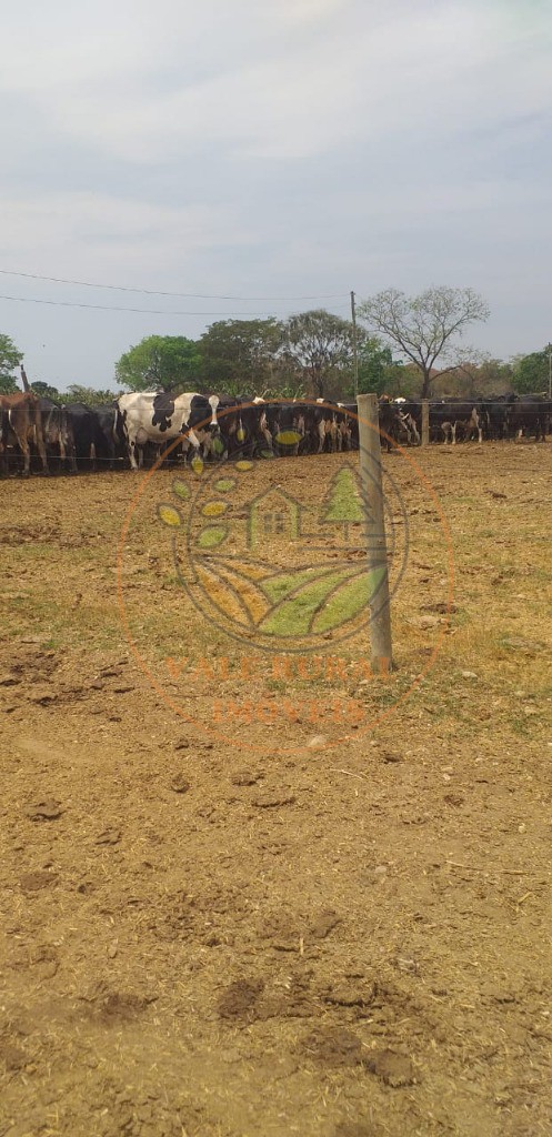 Fazenda à venda com 10 quartos, 18000m² - Foto 5