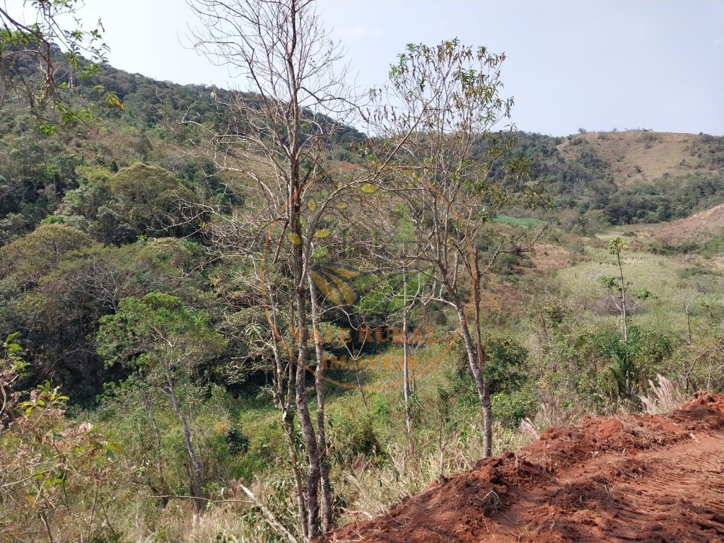 Haras e Área Rural Padrão à venda, 26000m² - Foto 12