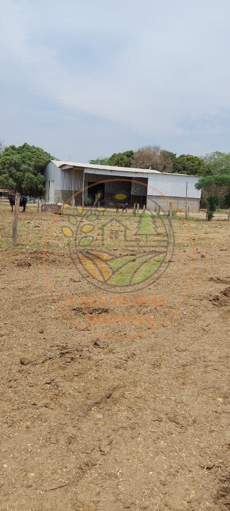 Fazenda à venda com 10 quartos, 18000m² - Foto 4