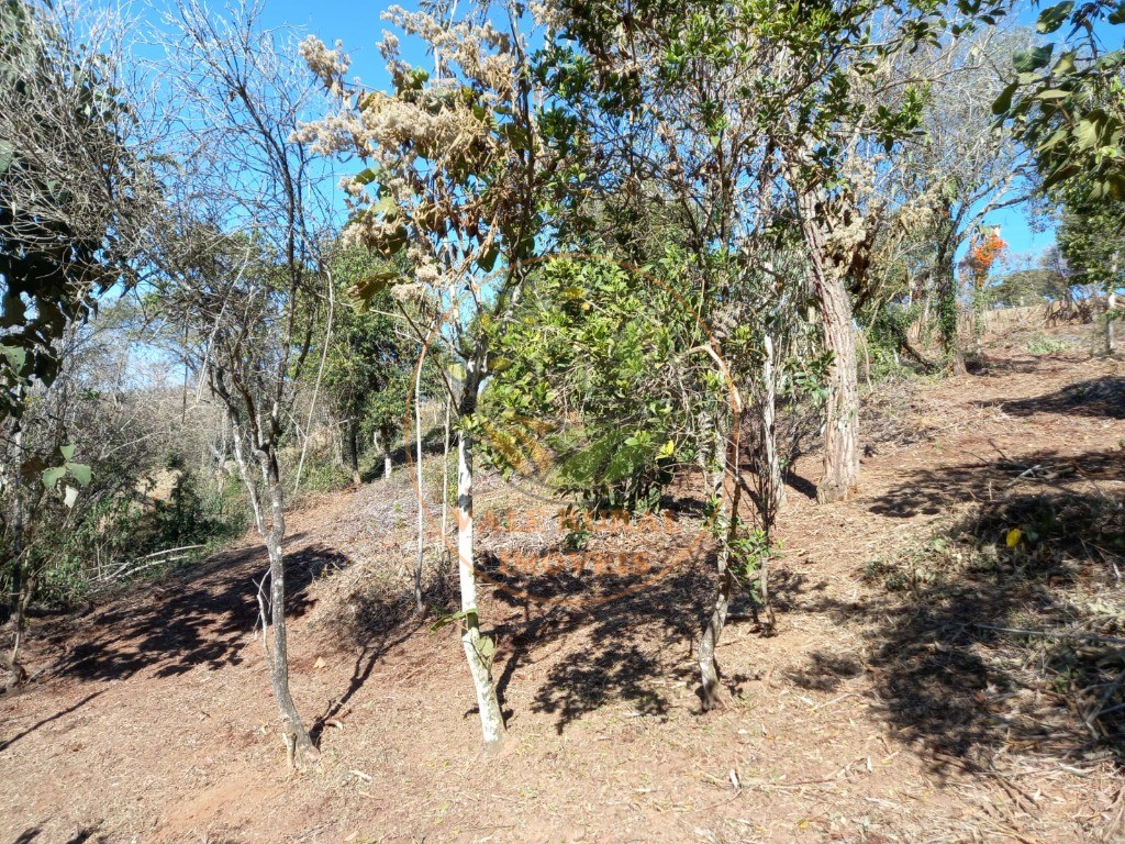 Haras e Área Rural Padrão à venda, 7m² - Foto 9