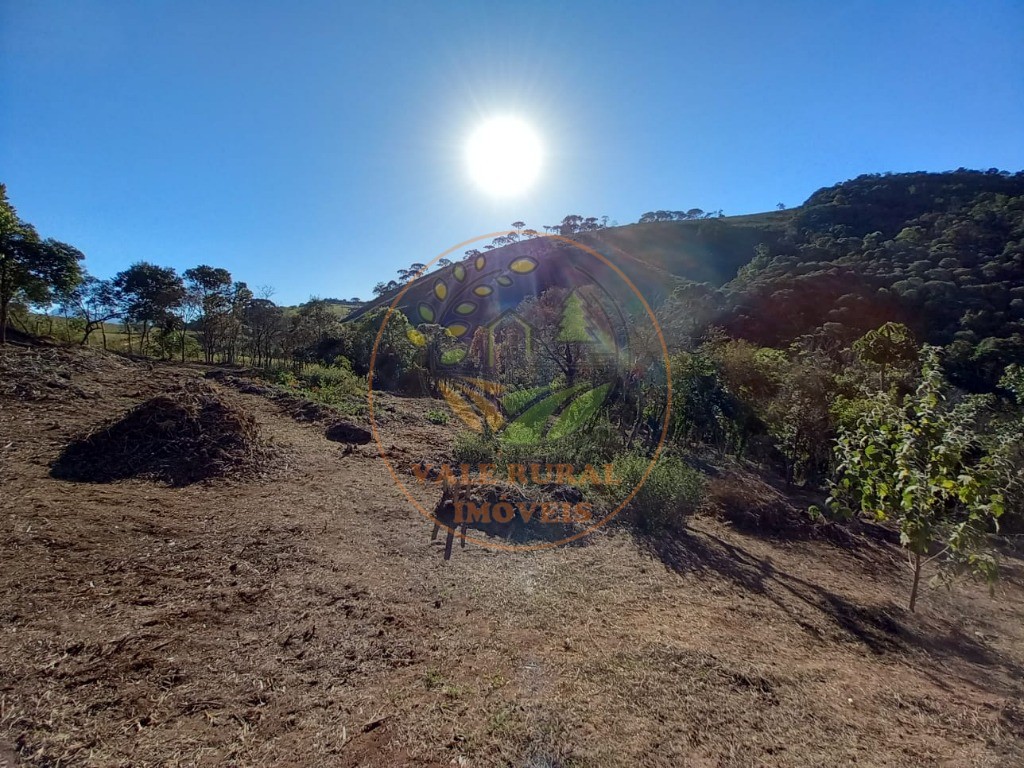 Haras e Área Rural Padrão à venda, 7m² - Foto 3