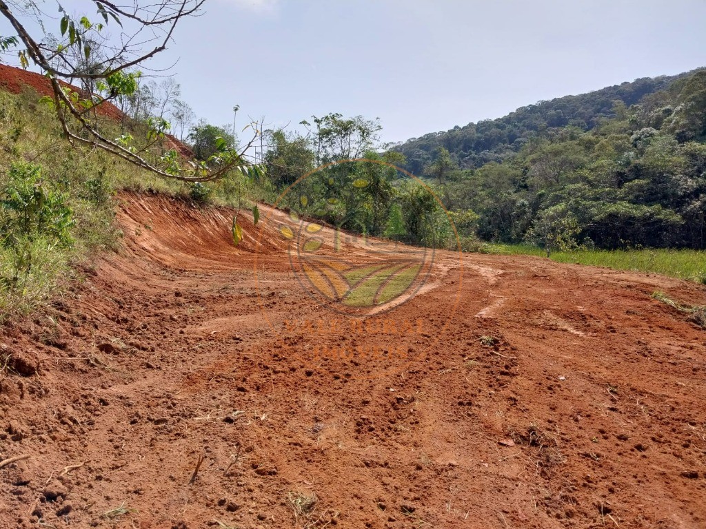 Haras e Área Rural Padrão à venda, 26000m² - Foto 18