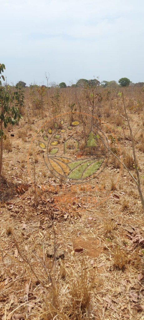 Fazenda à venda com 10 quartos, 18000m² - Foto 11