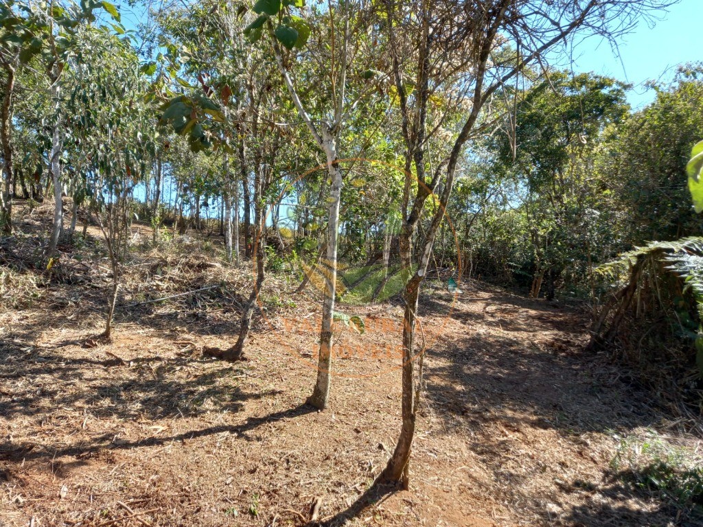 Haras e Área Rural Padrão à venda, 7m² - Foto 6