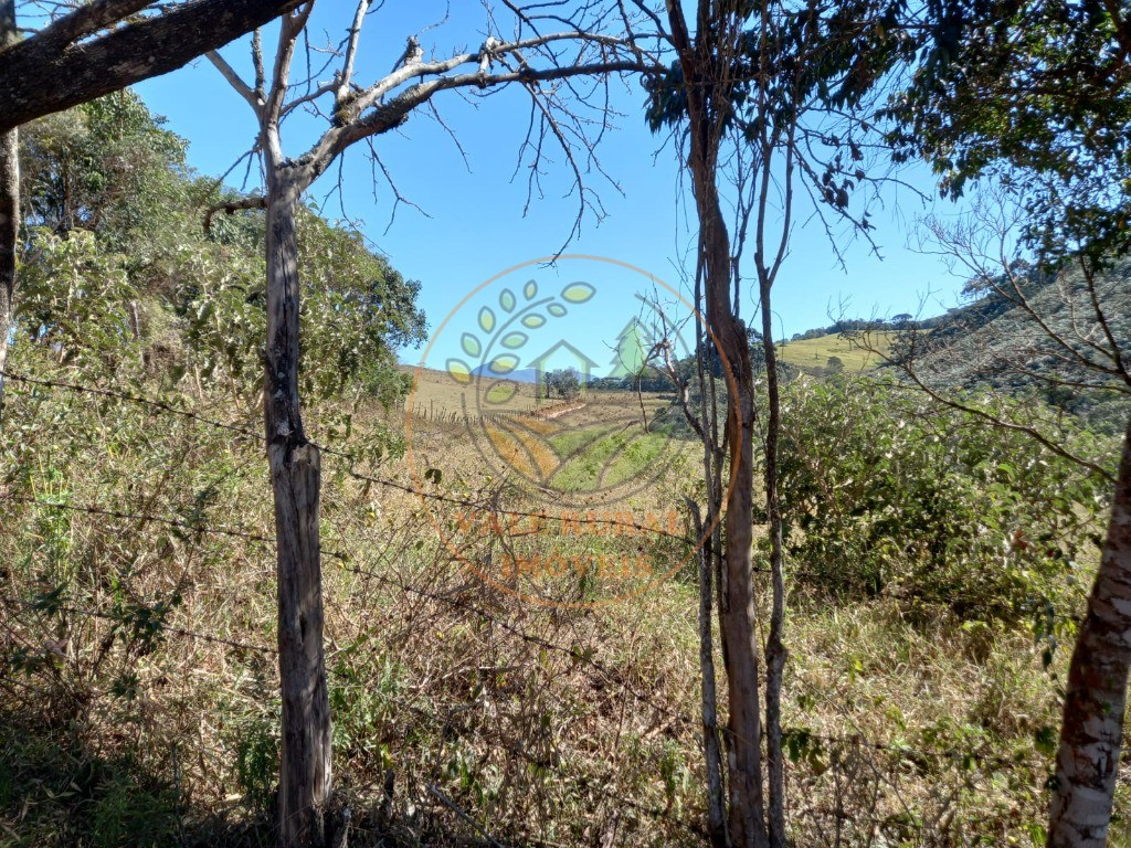 Haras e Área Rural Padrão à venda, 7m² - Foto 10