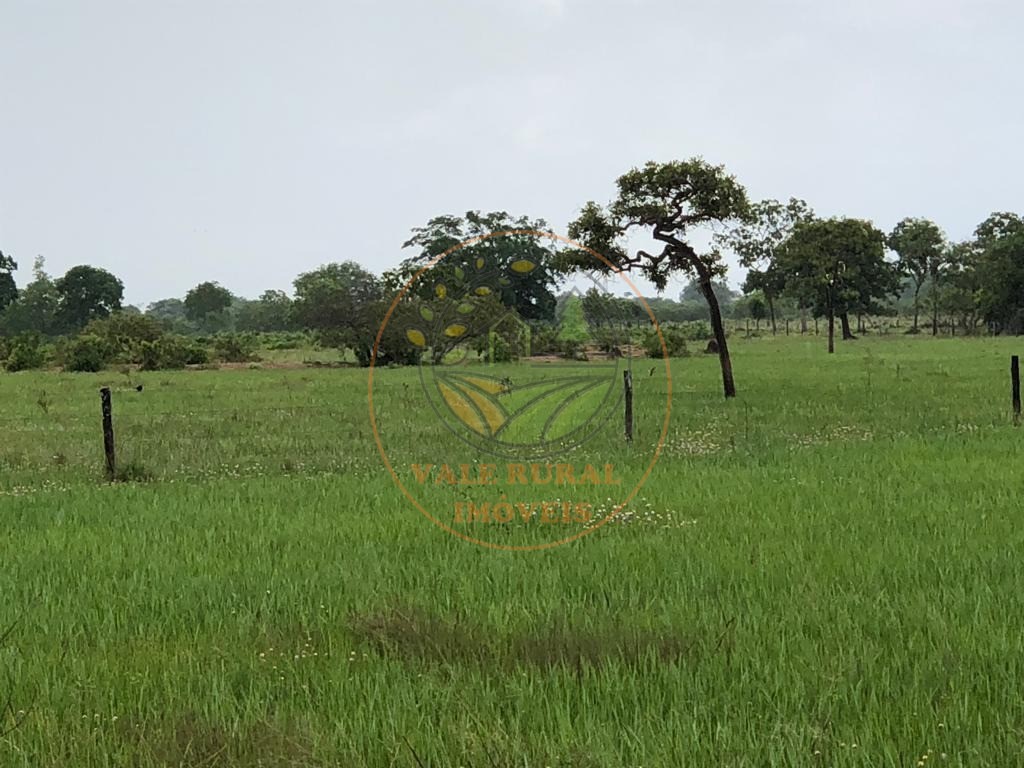 Fazenda à venda com 10 quartos, 13958m² - Foto 12