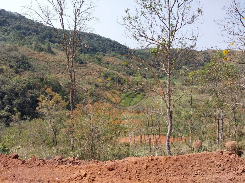 Haras e Área Rural Padrão à venda, 26000m² - Foto 7