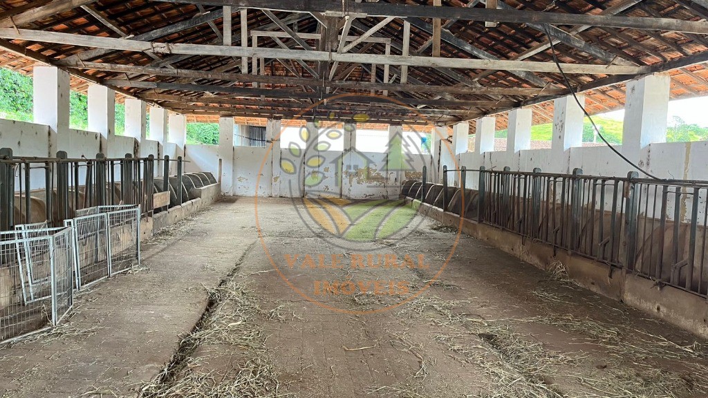 Fazenda à venda com 10 quartos, 1040m² - Foto 19