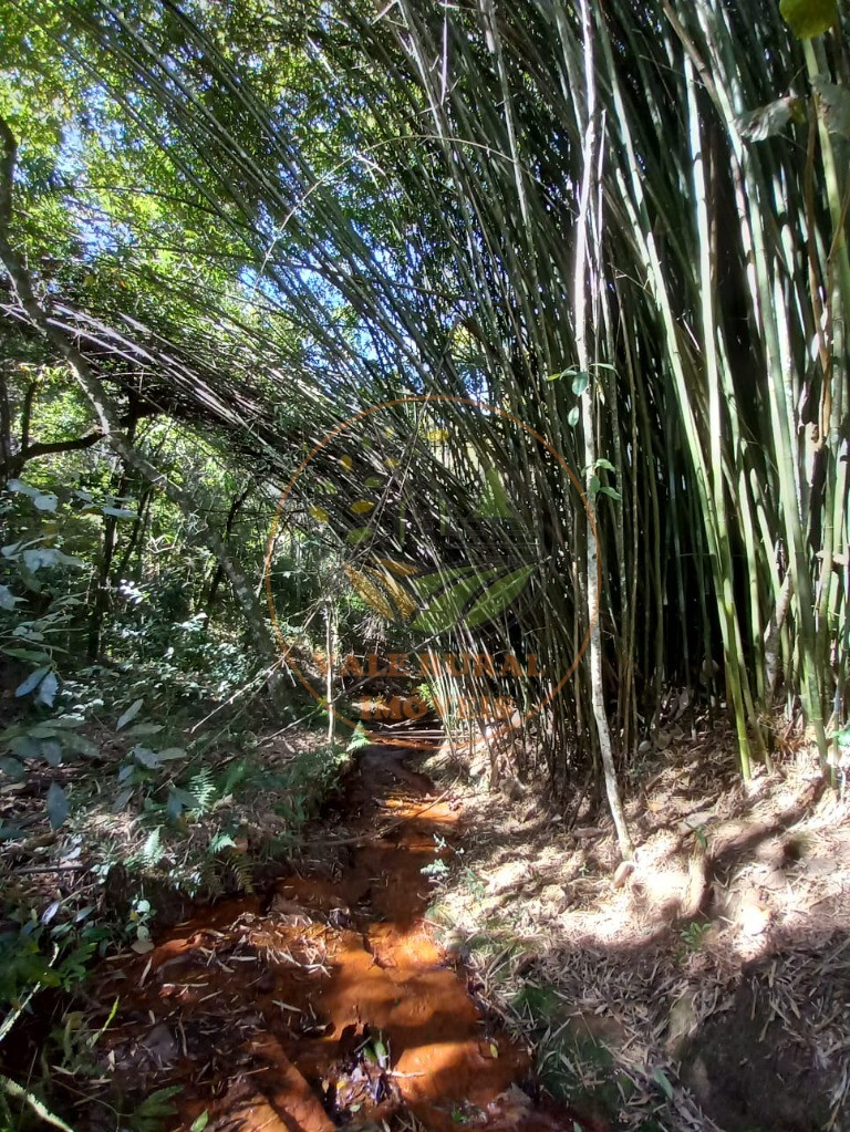 Haras e Área Rural Padrão à venda, 7m² - Foto 13