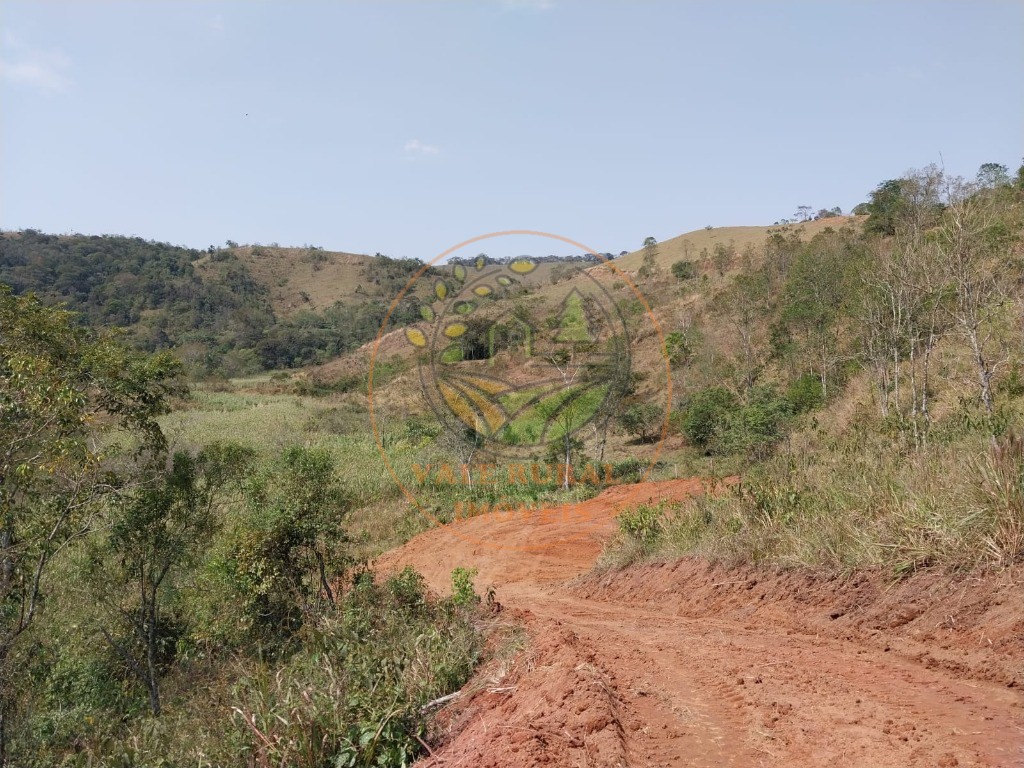 Haras e Área Rural Padrão à venda, 26000m² - Foto 11