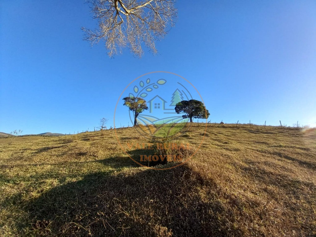 Haras e Área Rural Padrão à venda, 7m² - Foto 12