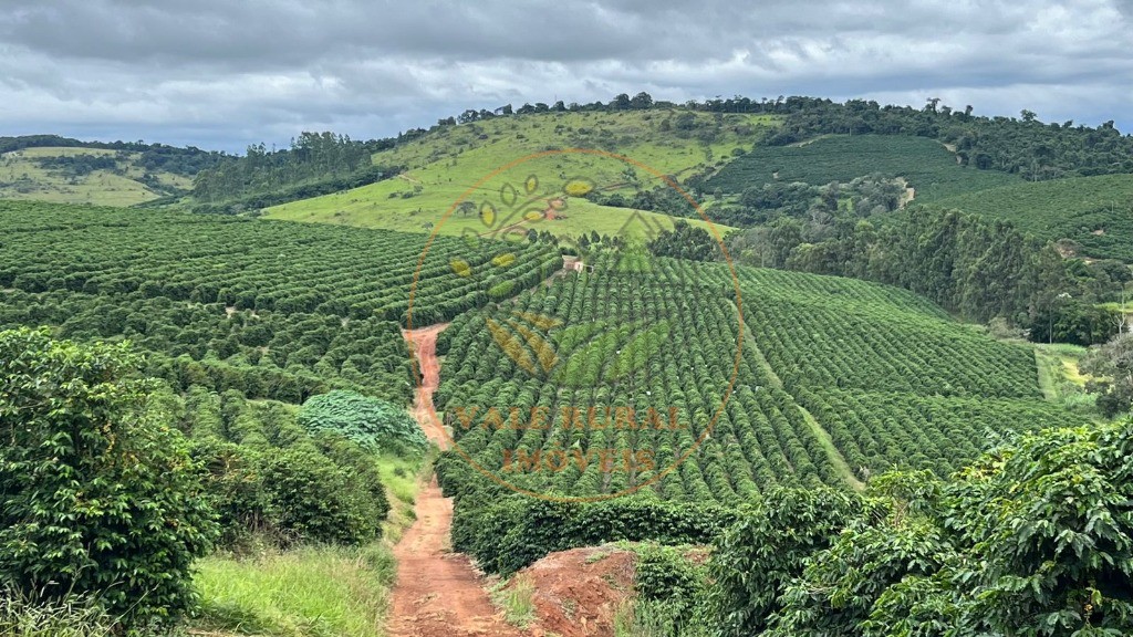 Fazenda à venda com 10 quartos, 1040m² - Foto 12