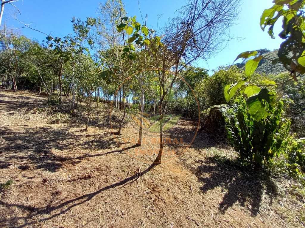 Haras e Área Rural Padrão à venda, 7m² - Foto 5