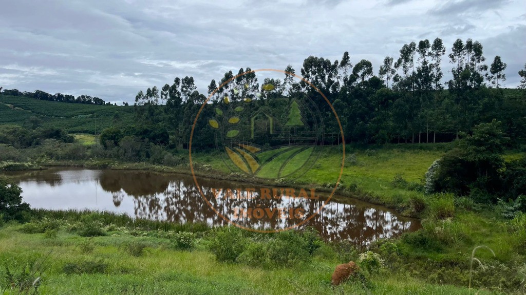 Fazenda à venda com 10 quartos, 1040m² - Foto 9