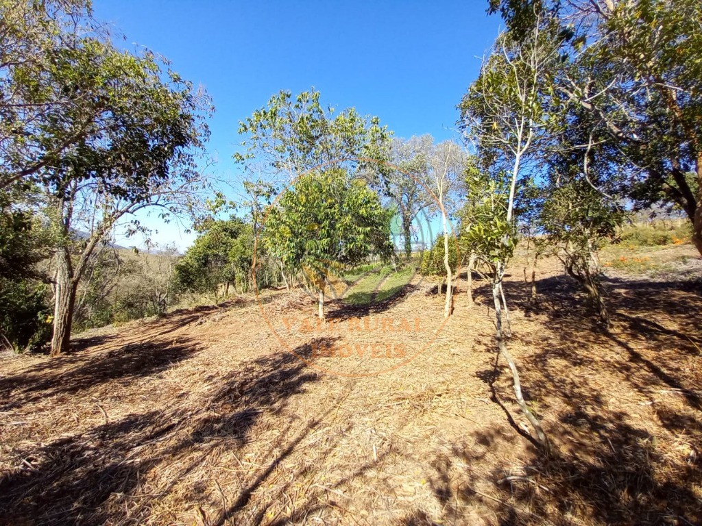 Haras e Área Rural Padrão à venda, 7m² - Foto 4