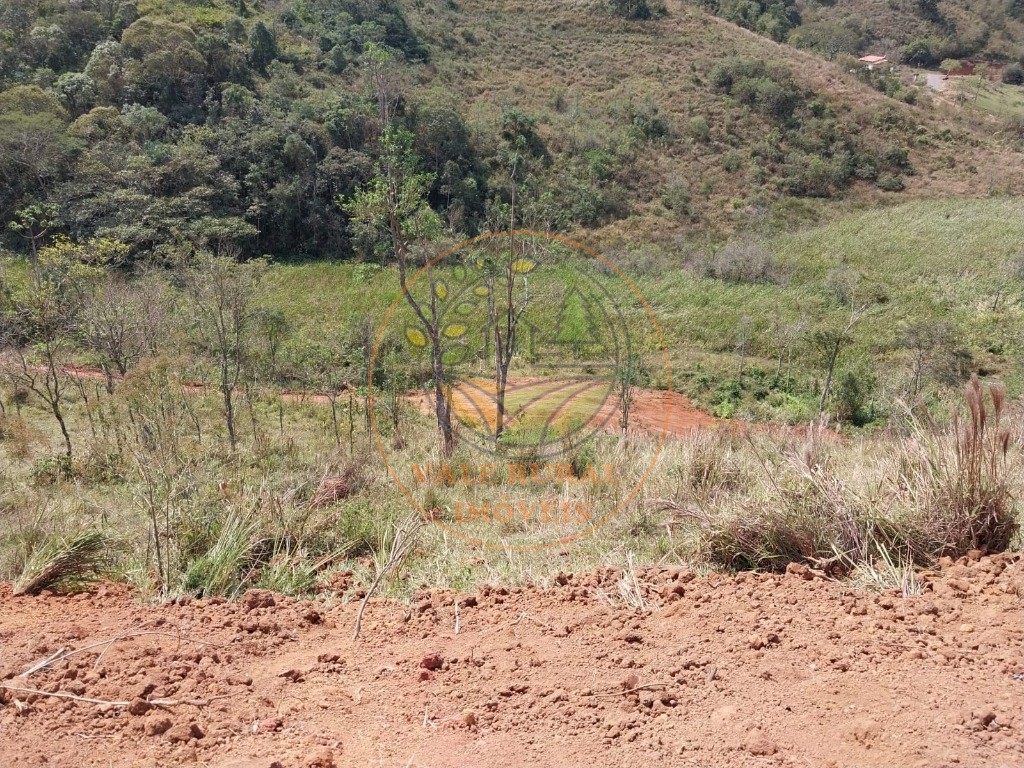 Haras e Área Rural Padrão à venda, 26000m² - Foto 9