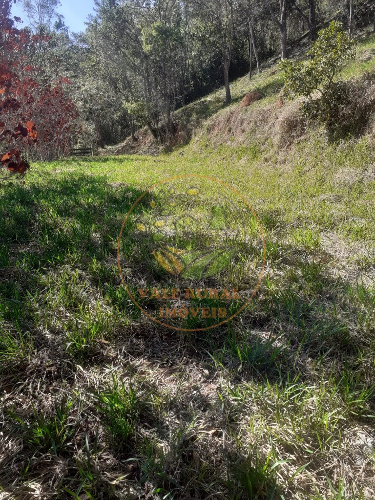 Fazenda, 2 hectares - Foto 2