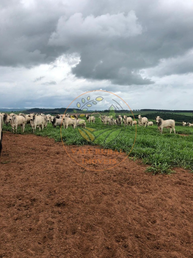 Fazenda à venda com 20 quartos, 1172m² - Foto 3