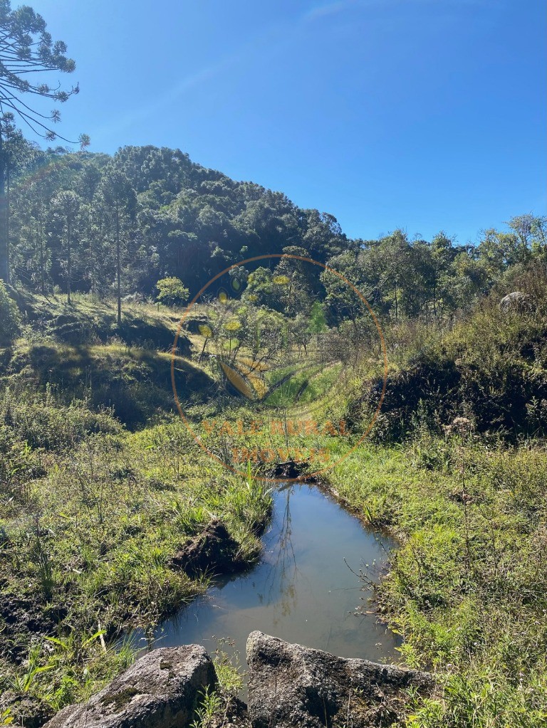 Haras e Área Rural Padrão à venda, 46000m² - Foto 22