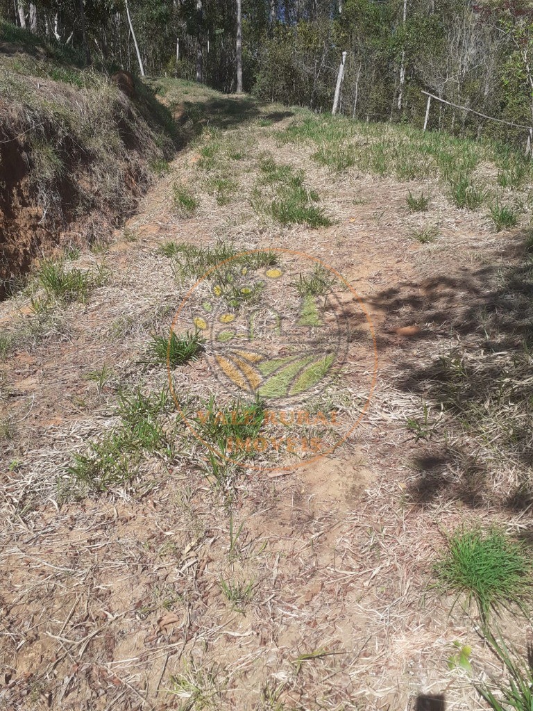 Fazenda, 2 hectares - Foto 7