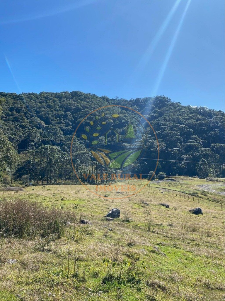 Haras e Área Rural Padrão à venda, 46000m² - Foto 18