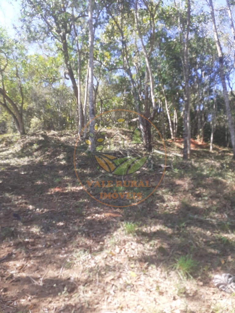 Fazenda, 2 hectares - Foto 8