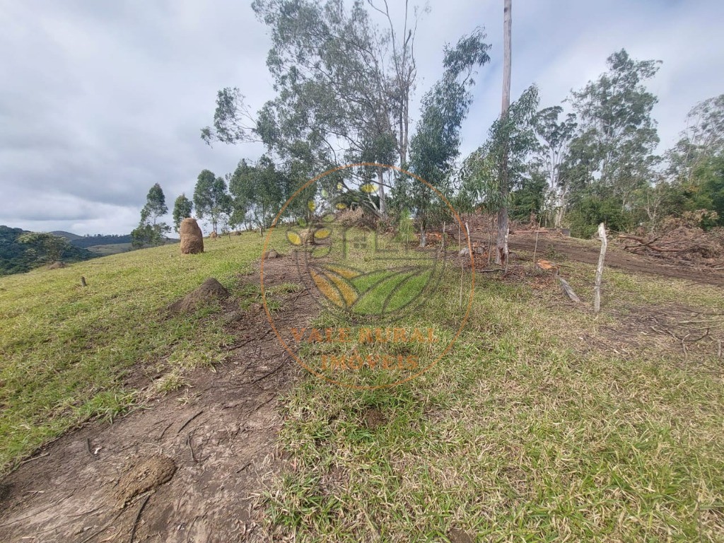 Haras e Área Rural Padrão à venda, 5m² - Foto 17