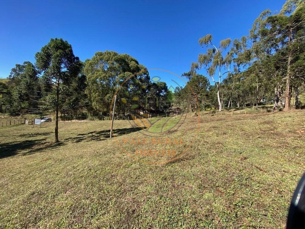 Haras e Área Rural Padrão à venda, 46000m² - Foto 6