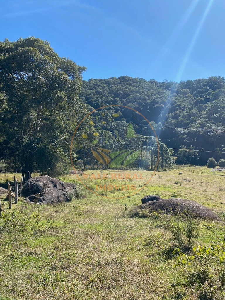 Haras e Área Rural Padrão à venda, 46000m² - Foto 21