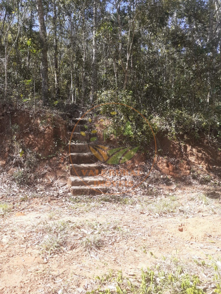 Fazenda, 2 hectares - Foto 9