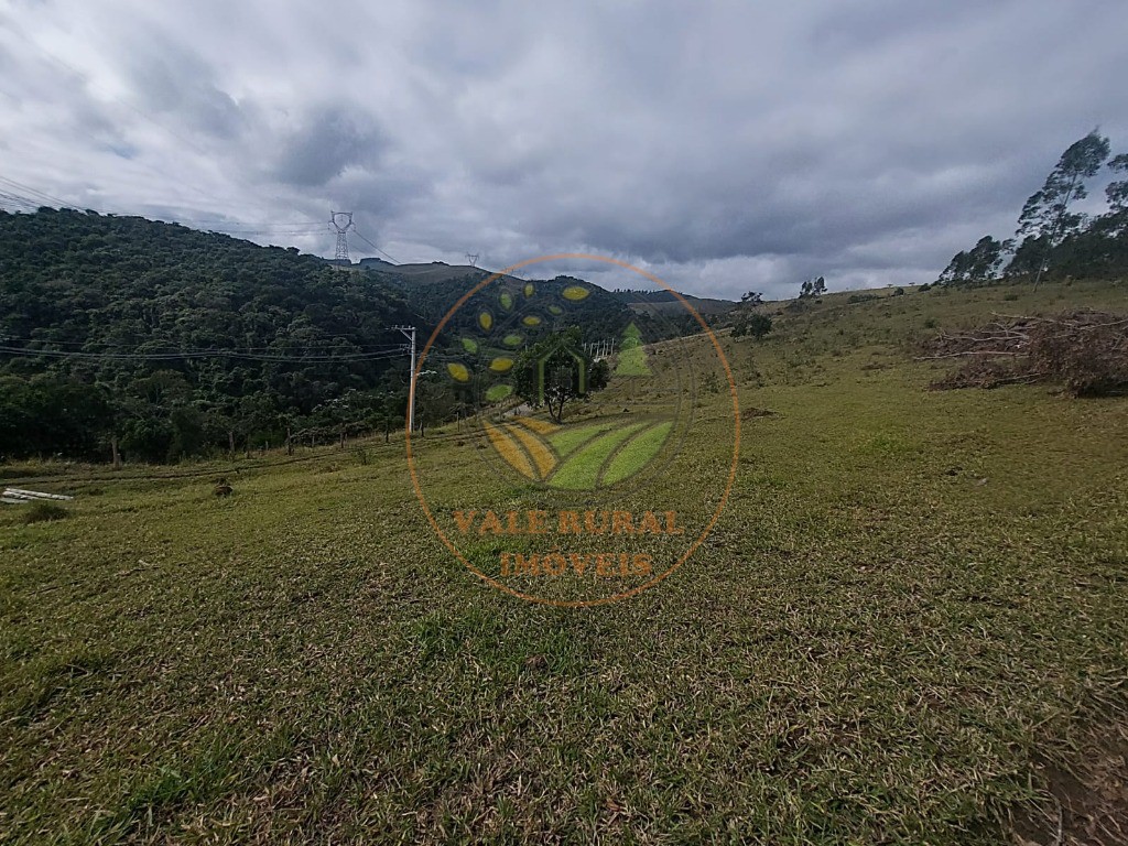 Haras e Área Rural Padrão à venda, 5m² - Foto 33